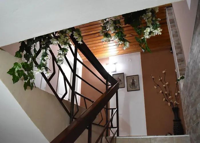 Kozle Guest house